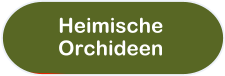 Heimische  Orchideen