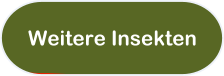Weitere Insekten