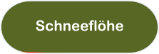 Schneeflöhe